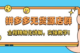 （2204期）拼多多无货源店群：全程精细化讲解，实操教学！