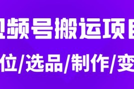 从0到1玩转视频号，月入5位数的视频号搬运项目，定位+选品+制作+变现全流程