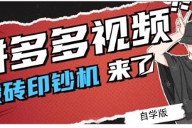 （2195期）拼多多视频搬砖印钞机玩法，2021年最后一个短视频红利项目（附软件）