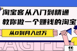 （2170期）淘宝客从入门到精通，教你做一个赚钱的淘宝客，从0到月入过万