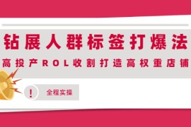 （2018期）钻展人群标签打爆法，高投产ROL收割打造高权重店铺(全程实操)