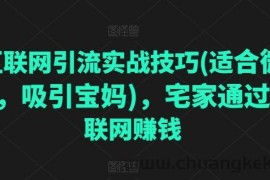 互联网引流实战技巧(适合微商，吸引宝妈)，宅家通过互联网赚钱