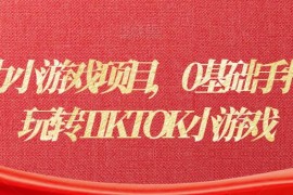 海外暴力小游戏项目，0基础手把手教你玩转TIKTOK小游戏