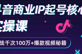 （2336期）抖音爆款商业IP起号核心实操课：带你玩转算法，流量，内容，架构，变现