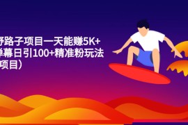 （2213期）15个野路子项目一天能赚5K+直播弹幕日引100+精准粉玩法（4个项目）