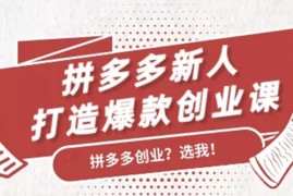 （1686期）拼多多新人打造爆款创业课：快速引流持续出单，适用于所有新人