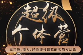 （1745期）超级个体营：解锁个人“优势”，实现个人品牌持续变现（视频课-无水印）