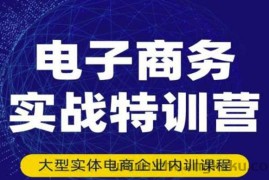 （3101期）电子商务实战特训营，全方位带你入门电商，308种方式玩转电商