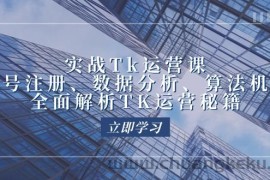 （12644期）实战Tk运营实操：账号注册、数据分析、算法机制，全面解析TK运营秘籍