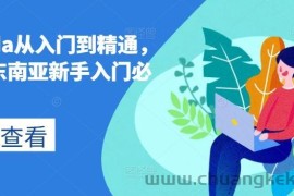 lazada从入门到精通，跨境东南亚新手入门必修课