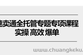 （10917期）速卖通 全托管专题专项课程，实操 高效 爆单（11节课）