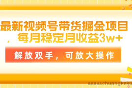 （11010期）最新视频号带货掘金项目，每月稳定月收益3w+，解放双手，可放大操作