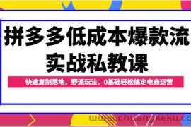 拼多多低成本爆款流实战私教课，快速复制落地，野派玩法，0基础轻松搞定电商运营