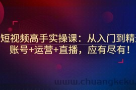 （2889期）短视频高手实操课：从入门到精通，账号+运营+直播，应有尽有！