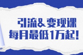 （1721期）引流&amp;变现课：分享一整套流量方法以及各个渠道收入，每月最低1万起！