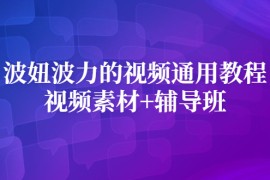 （2420期）波妞波力的视频通用教程+视频素材+辅导班