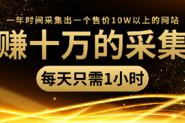 （1418期）年赚十万的采集站，每天1小时，一年采集出一个售价10W的网站（无水印）