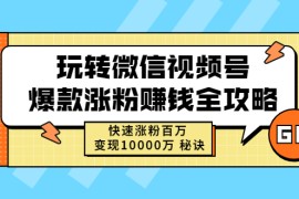 （2465期）玩转微信视频号爆款涨粉赚钱全攻略，快速涨粉百万 变现10000万 秘诀