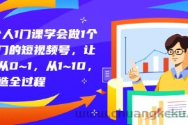 （2781期）1个人1门课学会做1个热门的短视频号，让你从0~1，从1~10，打造全过程