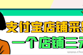 （2974期）【信息差项目】支付宝店铺采集项目，只需拍三张照片，轻松日赚300-500