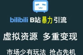 B站暴力引流售卖虚拟资源多重变现法，三剑客让被动收入变得更稳定