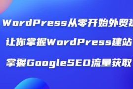 （1806期）WordPress从零开始外贸建站：让你掌握WordPress建站 掌握GoogleSEO流量获取