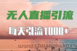 抖音快手视频号全平台通用，无人直播引流法，超暴力引流1000+高质量精准创业粉【揭秘】