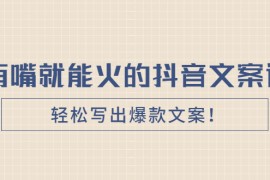 （2455期）《有嘴就能火的抖音文案课》轻松写出爆款文案！