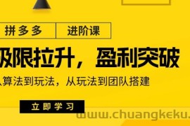 （11435期）拼多多·进阶课：极限拉升/盈利突破：从算法到玩法 从玩法到团队搭建-18节