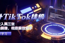 （10994期）海外TikTok挂机，每天收入两三张，全自动躺赚，彻底 解放双手！