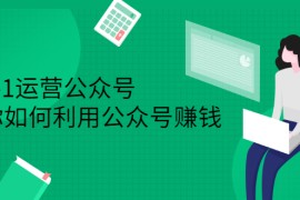 （2352期）从0-1运营公众号，零基础小白也能上手，教你如何利用公众号赚钱