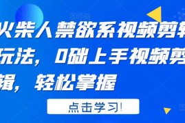 火柴人禁欲系视频剪辑玩法，0础上手视频剪辑，轻松掌握