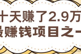 闲鱼小红书最赚钱项目之一，纯手机操作简单，小白必学轻松月入6万+