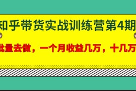 （1631期）宅男·知乎带货实战训练营第4期：批量去做，一个月收益几万 十几万(无水印)