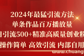 （10920期）2024年最猛暴力引流方法，单条作品百万播放 单日引流500+高质量精准创业粉