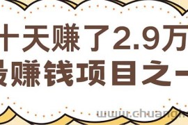 （12491期）闲鱼小红书赚钱项目之一，轻松月入6万+项目