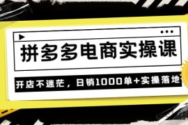 （3381期）《拼多多电商实操课》开店不迷茫，日销1000单+实操落地