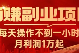 （11449期）躺赚副业项目，每天操作不到一小时，月利润1万起，实战篇