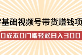 （2414期）零基础视频号带货赚钱项目，0成本0门槛轻松日入300+【视频教程】