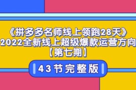 《拼多多名师线上领跑28天》2022全新线上超级爆款运营方向【第七期】43节课