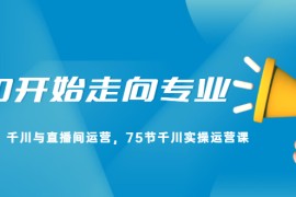 （2165期）从0开始走向专业，千川与直播间运营，75节千川实操运营课