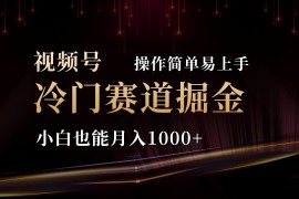 （11125期）2024视频号三国冷门赛道掘金，操作简单轻松上手，小白也能月入1000+