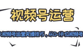 （1455期）视频号运营：七大视频号运营实操技巧，从0-1卡位视频号红利（无水印）