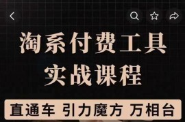 淘系付费工具实战课程【直通车、引力魔方】战略优化，实操演练（价值1299）