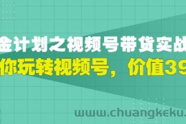 （2979期）视频号带货实战营，带你玩转视频号