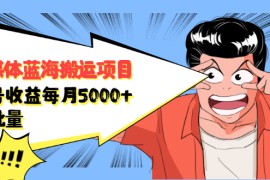 （2091期）自媒体蓝海搬运项目：单号收益每月基本都可以达到5000+，可批量