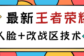 （2723期）王者荣耀跳人脸技术+改战区技术教程，一份教程卖50，一天能卖5-15份