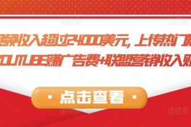 每个视频收入超过24000美元,上传热门短视频到YOUTUBE赚广告费+联盟营销收入