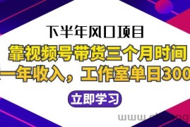 （12849期）下半年风口项目，靠视频号带货三个月时间赚一年收入，工作室实测单日3…
