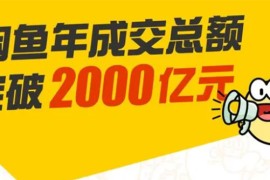 （1662期）龟课·闲鱼无货源电商课程第19期：操作好一天出几单，赚个几百块钱